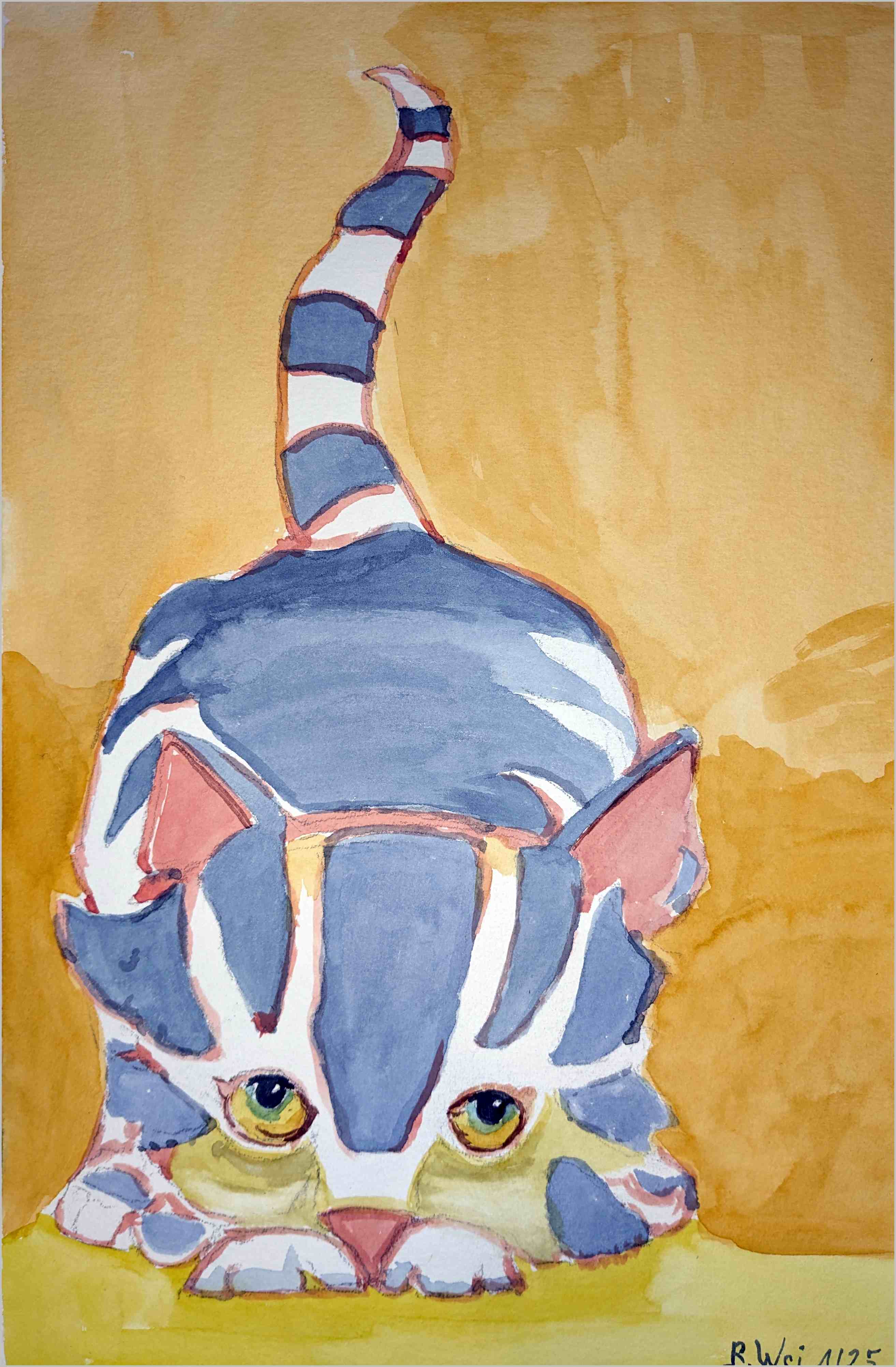 Kleine Katze